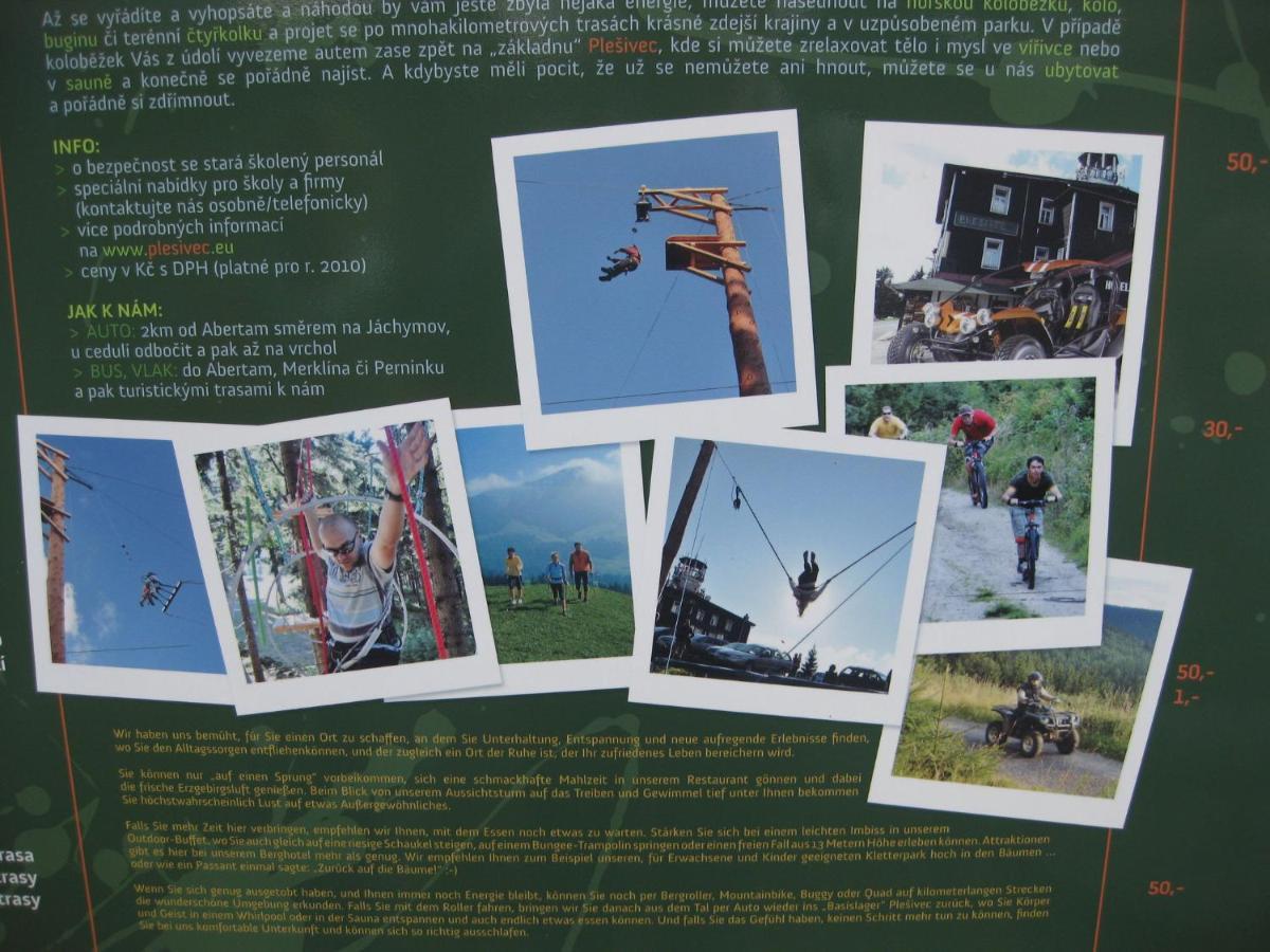 Holiday Home In Bohemia Near Ski Area And Forests Abertamy Ngoại thất bức ảnh
